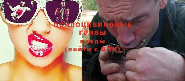 a pvp Алексин