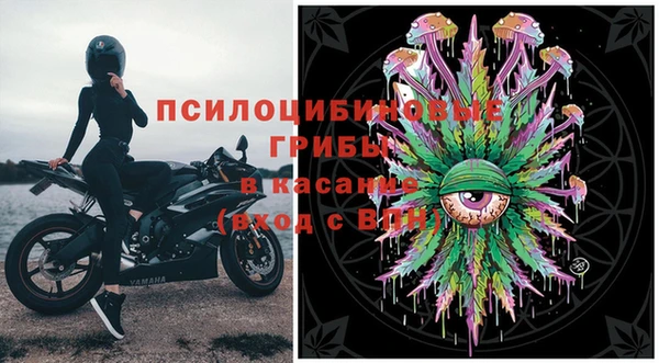 a pvp Алексин
