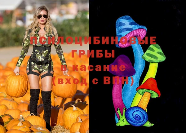 мяу мяу мука Алзамай