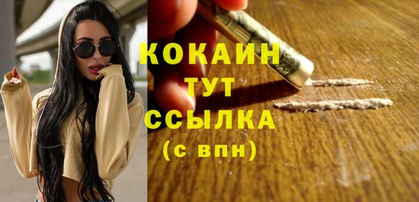мяу мяу мука Алзамай