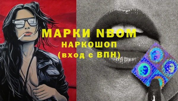 мяу мяу мука Алзамай