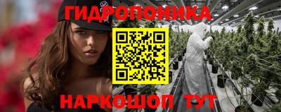 амф Можга