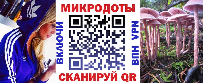 Псилоцибиновые грибы Psilocybe  Урай 